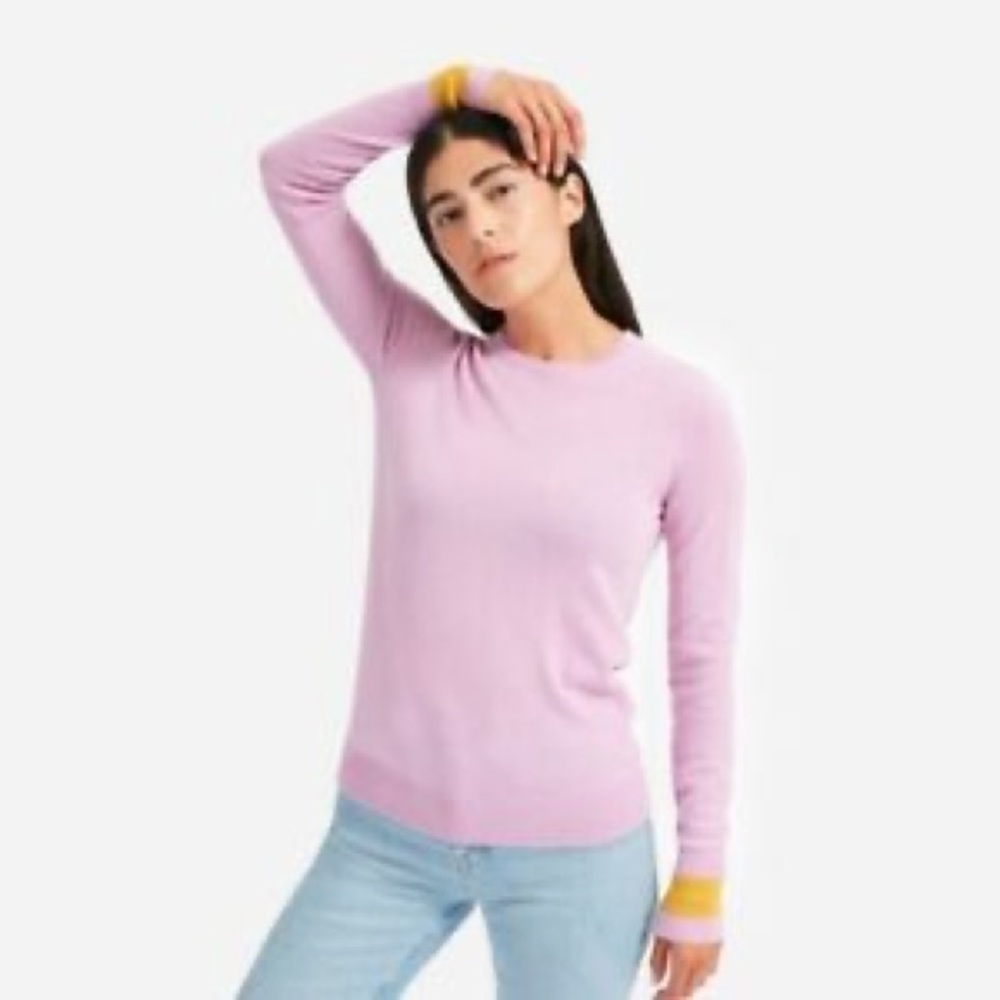 Everlane Mauve Cashmere Crew with Mustard Stripe